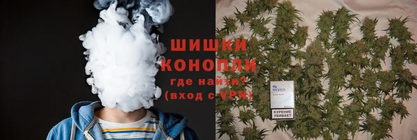 твердый Медногорск