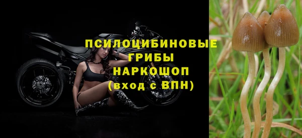 а пвп мука Мегион