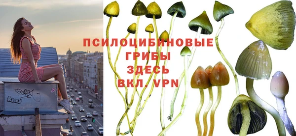 твердый Медногорск