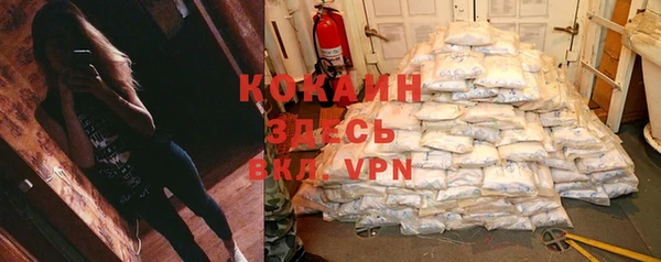 твердый Медногорск