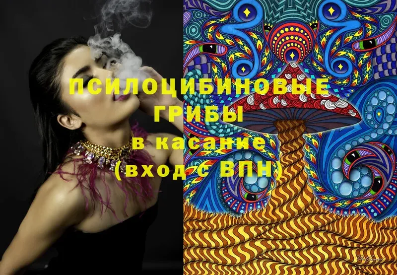 Псилоцибиновые грибы MAGIC MUSHROOMS  продажа наркотиков  Партизанск 