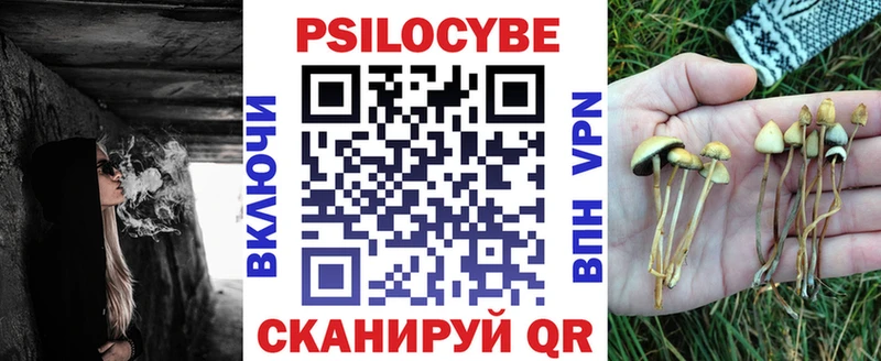 ссылка на мегу как войти Партизанск Галлюциногенные грибы Magic Shrooms