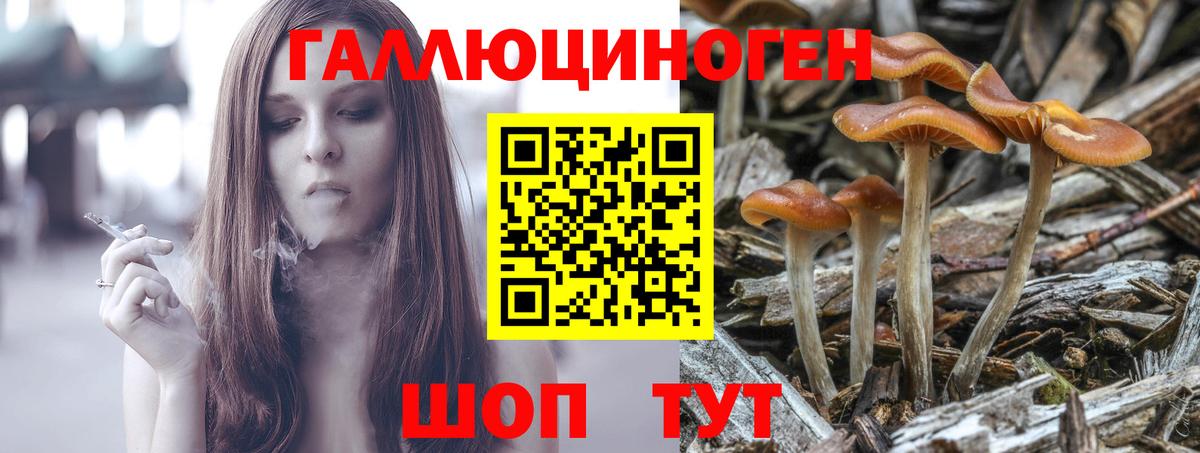 Галлюциногенные грибы Psilocybe  Вход с VPN  Партизанск 